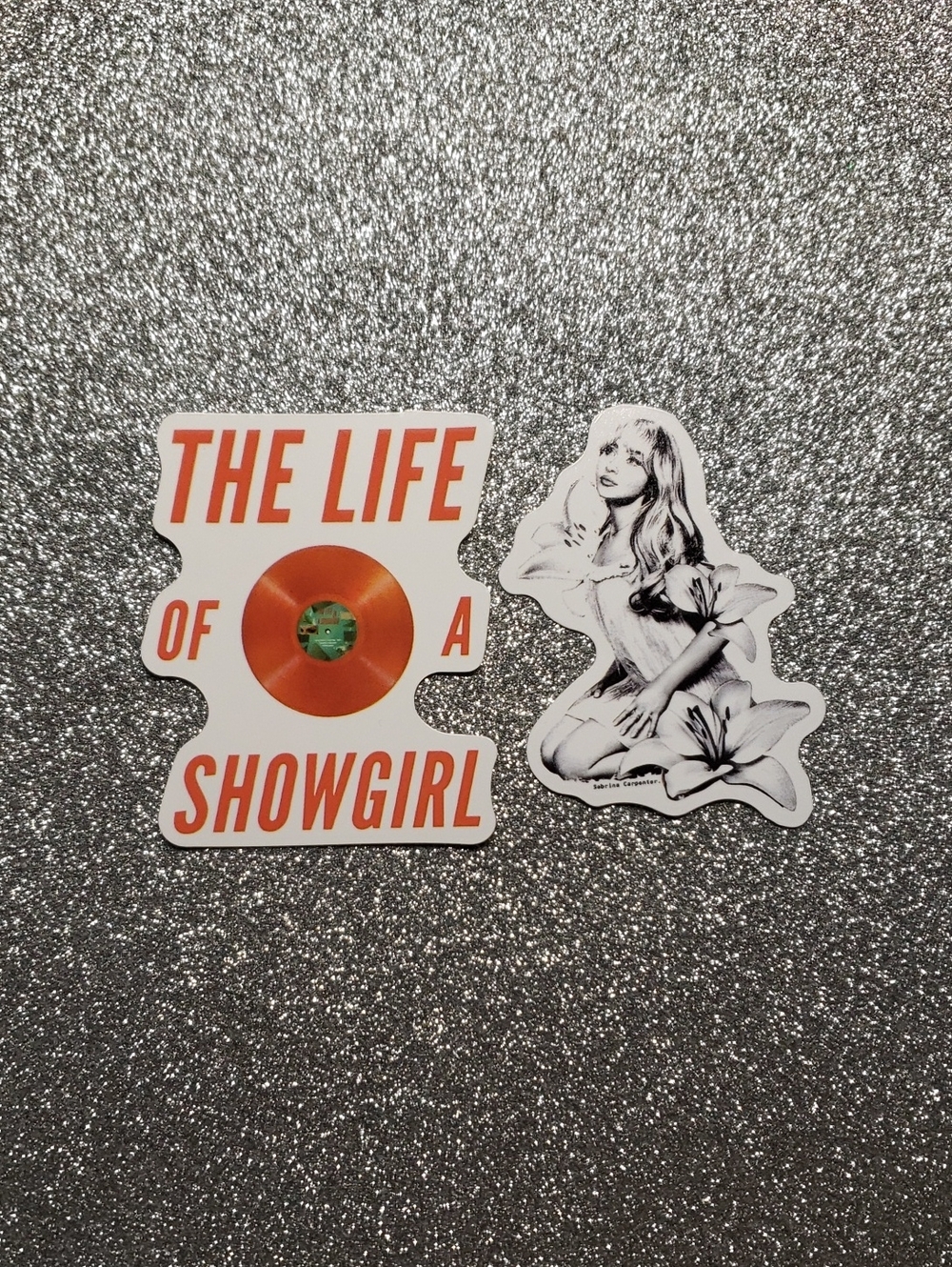 10/$10 Taylor Swift SHOWGIRL Waterproof Sticker